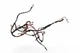 1972 BSA A65 Lightning A65L 650 Thunderbolt Unit *2886 Wiring Harness 