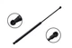 Front Hood Lift Support for 2007-2012 Lexus LS460 - FCS