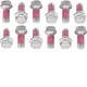 Bolt Mc Hardware 2009-YRTR Rotor Bolt Kit
