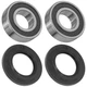 Rear Wheel Ball Bearings Seals Kit for Kawasaki KDX250 1991-1994