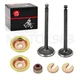 Intake Exhaust Valve Kit For Yamaha Gas Golf Cart G2 G5 G8 G9 G11 G14 1989-1996