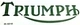 Triumph 2" x 6" black with white edge gas petrol tank die cut vinyl sticker each