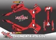 HONDA XR 650L XR650 CUSTSTOM GRAPHICS KIT GRAFICAS DECAL WAR 