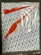 KTM Decal Set 250 XC 2019 #79108098007