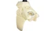 IMS Fuel Tank 3.25 Gallon Natural Gas Gas EC 250/EC 300/MC 125/MC 250 2024