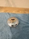 OEM Harley Davidson Sportster Dyna Vented Gas Fuel Cap Chrome 61272-92F