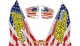 Pro Circuit T-6 Exhaust Decal - Stars and Stripes Motorcycle Dirt Bike DC22T6-SS