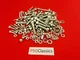 200 Assorted Universal Stainless Steel Allen Screws Bolts READ AD KTM SXE 2 3 5