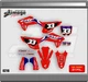 HONDA CRF250R  2022- 2024 GRAPHICS TEAM STYLE  21 KIT SEMI CUSTOM