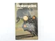 1977 Motorcycles Book Phil Schilling Full Color Honda Harley Triumph 11157rs