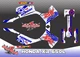 HONDA XR 650 XR650L SEMI CUSTOM GRAPHICS DECALS STICKER KIT WARPATH