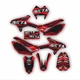 BETA RR 50 2012-2020 Graphic kit-Supermoto Graphic kit-Chrome Graphics