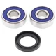 Wheel Bearing Kit 25-1170B for Front Suzuki DR200 S 200 2018-2020