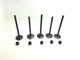 NEW Grizzly 660 Engine Intake & Exhaust Valve And Stem Seal Kit Yamaha 2002-2008