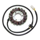 Electrosport Stator #ESG111 fits Kawasaki Ninja 250R/Eliminator 250