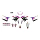 Dcor 20-50-265 Retro Star Racing ME Complete Graphics Kit - White Background