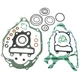 Athena Complete Gasket Kit 36.P400485850165
