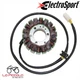 Kawasaki EL 250 2001 2002 2003 ESG111 STATOR FLYWHEEL MAGNET ELECTROSPORT