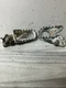 2004 YAMAHA TTR125L TTR125 TTR250 OEM FOOT PEGS FOOTRESTS  4DA-27411-00-00