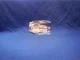 Yamaha 90201-483P9 Washer Plate  PZ480 VT480 NOS  NP8728