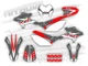 Graphics Fits Beta RR 50 2011 2012 2013 2014 2015 2016 2017 2018 2019 2020