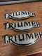 Triumph OEM T3900087 Fuel Tank Badge Emblem New R/H Bonneville America Legend