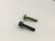 Arctic Cat 3007-421 Screw w/Washers 2007 Panther 370 F/C Sold Each