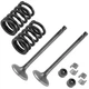 2x Exhaust Valve Kit for Yamaha Grizzly 700 YFM700 4x4 2008 2009-2015 2019-2022