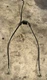 Harley Davidson FXDF Fat Bob Front Brake Line Hose 42163-08A 2008-2017