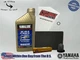 Cyclemax Full Synthetic Tune Up Kit fits 2017-2025 Yamaha YFZ 50 with Spark Plug
