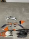 KTM - A47008990000 - Factory Sticker Kit