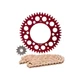 Primary Drive Gold Chain Sprocket Kit Set Red For HONDA CRF450L CRF450RL CRF450X