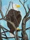ART JOY-EUNIE 12x16&rdquo; Acrylic Canvas Original  Art Expressionism BALD EAGLE 26016