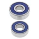 Suzuki DR200S 1996-2020 Rear Wheel Bearings
