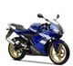 YAMAHA TZR 50 2002 2009 BURNING BLUE EDITION DECOR DECAL Sticker