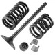 Intake Valve Kit for Yamaha 5H0-12111-02-00 11H-12113-00-00 11H-12114-00-00