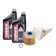 Tusk 4-Stroke Oil Change Kit Pro-Honda GN4 10W-30 For Honda CRF250RX 2019-2026