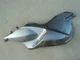 BMW Fairing Tank Trim 4663 7677 776 right side