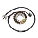 Pro Comp Suspension     Electrosport Esg490 Lighting Stator Trx400r   High Power