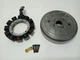 Harley-Davidson 1989 Softail Custom EVO Stator & Rotor 29970-88D / 29957-81B Harley-Davidson 1989 Softail Custom EVO Stator & Rotor 29970-88D / 29957-81B