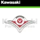 NEW 2006 - 2024 GENUINE KAWASAKI VULCAN 900 WINDSHIELD EMBLEM KIT 56052-0851