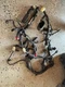 17-20 Honda Grom MSX 125 Main Wiring Wire Harness Loom 32100-K26-B102