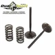 Yamaha YZ250F/YZ250FX 2014&ndash;2018-Pro-X-Steel Intake Valve and Spring Kit