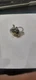 156-81221-21 yamaha yds points n.o.s. 4-7-3