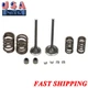 Intake Exhaust Valve Spring Seal Cotter Kit For Yamaha TTR225 YTM225 XT225 TT225
