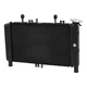 Radiator Cooler Cooling Fit For Yamaha MT09 SP 21-23 XSR900 22-24 TRACER 9 21-24