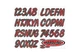 Hardline - REBKG400 I.D. Sticker Kit 300 Series Red Gradation