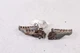 2000 YAMAHA TTR 125 TTR125 Foot Pegs PAIR