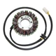 ESG111 Electrosport stator KAWASAKI EL250 Ninja 250R EX250 Ninja 250R ZZ-R250
