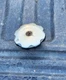 1983-1987 Honda XL600R  Gas Fuel Tank Cap 17620-KE1-003